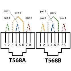 Chapter T-568A vs. T-568B image.